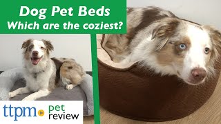 Dog Beds Review | Help Your Dog Relax With The Right Pet Bed
