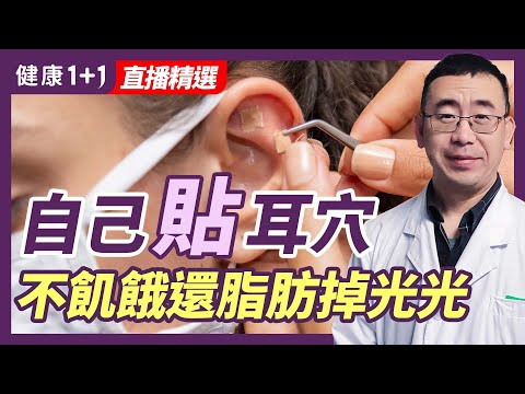 耳貼是什麼