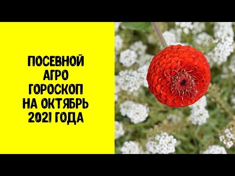 , title : 'Посевной агрогороскоп на октябрь 2021 года'