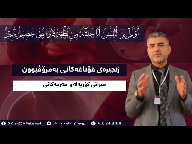 میراتی کۆرپەلەو  مەرجەکانی 