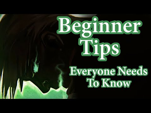What I Wish I Knew Before Playing Grim Dawn - Beginner Info