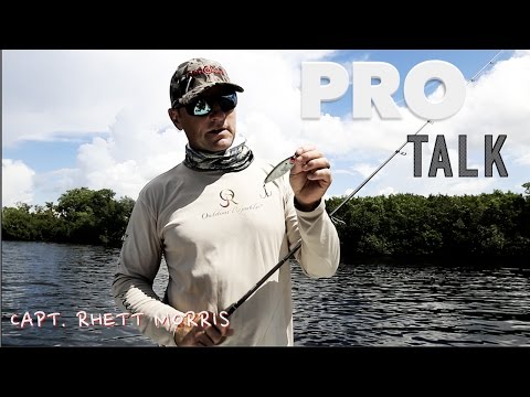 Pro Talk- MIRROLURE Catch 5: How/When/What