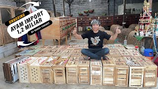 Download lagu UNBOXING KOLEKSI AYAM IMPORT 1,2 M mp3