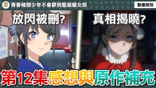 和服麻衣太讚！成年禮放閃竟然被刪？沒作夢等於在未來喪生？霧島透子的真相揭曉？《青春豬頭少年不會夢到聖誕服女郎》第十二集感想與原作補充【七月新番】