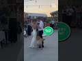 Dog Joins Father And Daughter During Their Wedding Dance