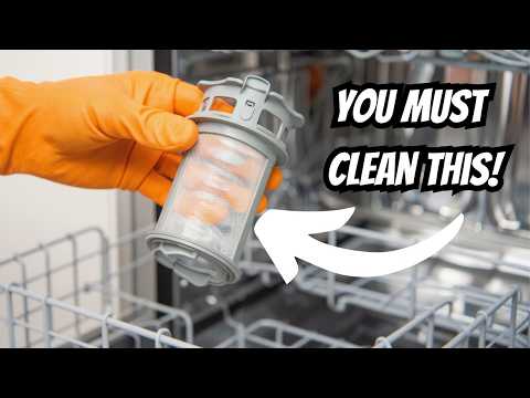 The ULTIMATE Guide to Deep Cleaning Your Dishwasher 🧽