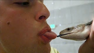 i kissed a lizard and i did some crying too... | Chris Klemens
