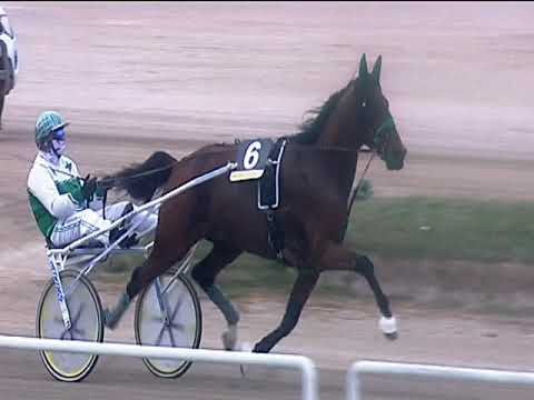 Trotto 02/04/2019 - 7ª corsa - TRIS