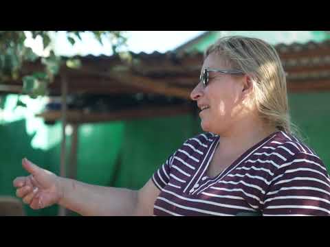 Fundación UPM | Curtina transforma