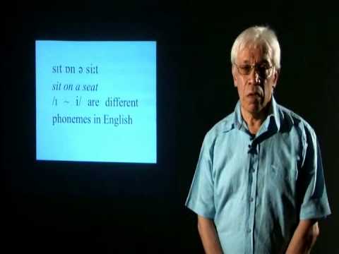 Hector Ortiz (1/4) - PIAP