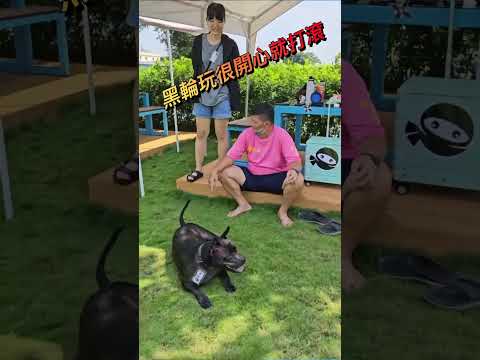 抗癌路愛相隨！毛小孩黑輪-第二屆金腳印獎『毛孩鏡勾追』活動