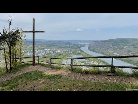 Wandelen langs de Moezel - Moselsteig etappe 7 - Mehring-Leiwen