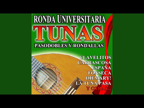 Ronda Del Silbidito video