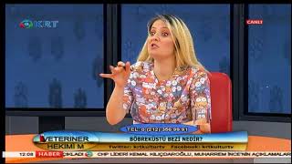 Veteriner Hekimim - Gözde Çetin Kasap & Tülin Berkman - 4 Temmuz 2018 - KRT TV