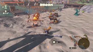 夏休みの自由研究はふいうち 【ゼルダの伝説 ティアーズオブザキングダム】【ティアキン】 #ゼルダの伝説