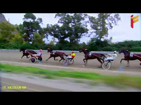 VI Corsa del 27 Dicembre 2021 - Cat. F - Metri 2000 - Gentlemen