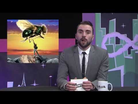 Bowen Solutions - Simon Taylor | 'Live on Bowen' - S6E05