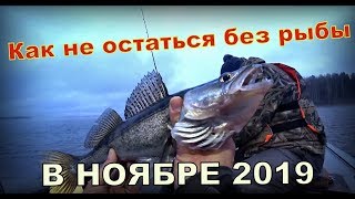 Приманки на окуня в ноябре