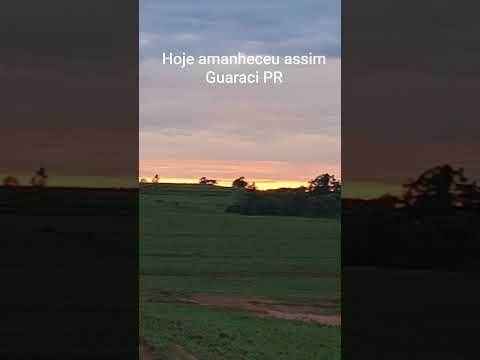 Um dia lindo aqui em Guaraci PR 🙏🙌