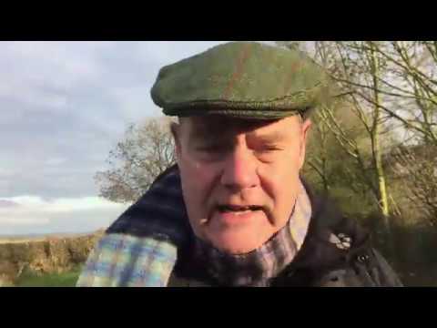 Yorkshire Lad TV - Vexed and Perplexed - oose bin paintin cows white?