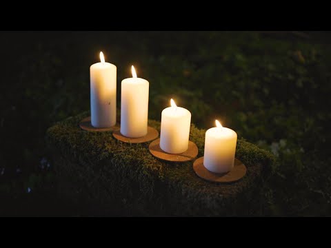 OREADA - Kołysanka (Leśna Sesja - Official Live Video)