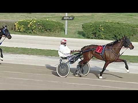 Aversa trotto 12 Febbraio 2020 - 2° Corsa