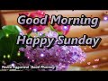 Happy Sunday Whatsapp Status Video Good Morning Happy Sunday Wishes Happy Sunday Quotes Sunday Sms
