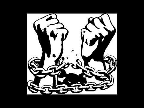 Descatusat Robin Melvin