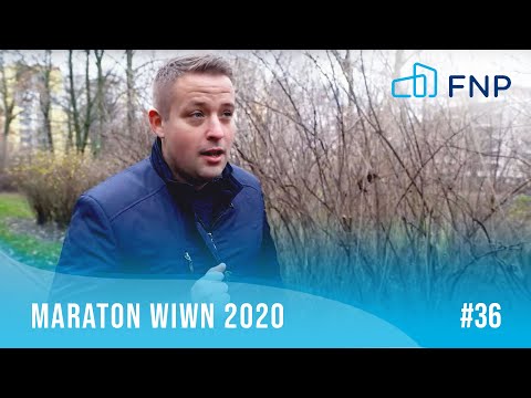 FNP#36 Maraton WIWN 2020
