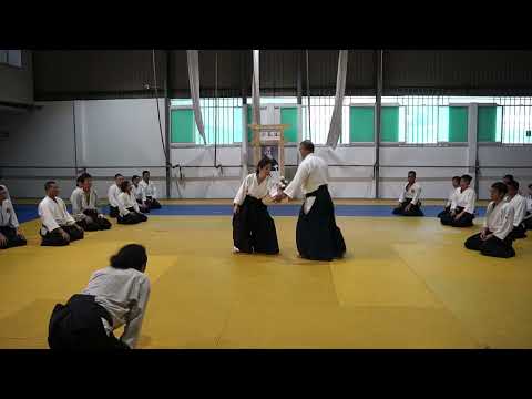 2023 HAF Aikido Seminar - Shihan Etsuji Horii - Ai hanmi katate dori kokyu nage 4