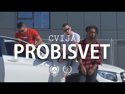 CVIJA - PROBISVET (OFFICIAL VIDEO)