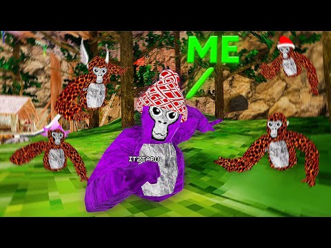 I HUMBLED Every Competitive Lobby... (Gorilla Tag VR)