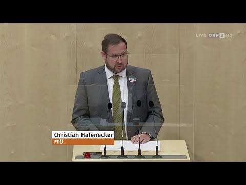 Christian Hafenecker - Unser Heer (Erklärung Tanner) - 30.6.2020