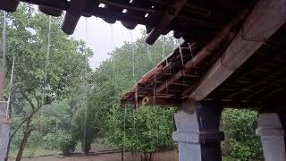 RELAXING Heavy Rain 🌦🎼   at Early Morning ☔  #sound #heavy #rain #shorts #relaxing #nap #sleep