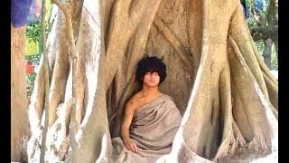 Re: [討論] 關於辟榖(谷)