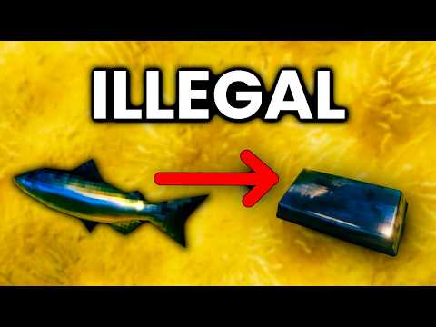 57 SNEAKY Resource Locations In Valheim