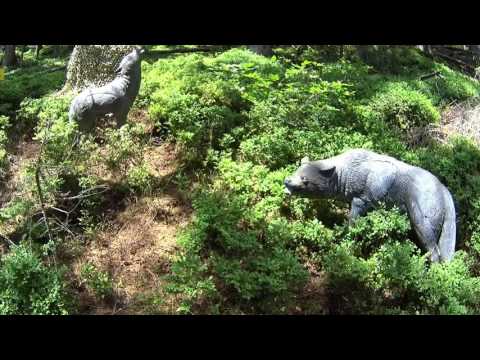 AfriBow Review: BSV Lakota