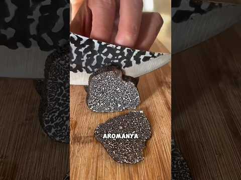 Jamur Seharga Miliaran! Ini Truffle, Si Jamur Sultan! #FaktaUnik #JamurTruffle  #shortsviral