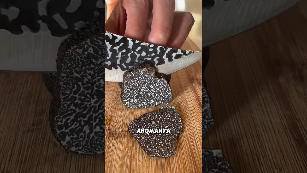 Jamur Seharga Miliaran! Ini Truffle, Si Jamur Sultan! #FaktaUnik #JamurTruffle  #shortsviral