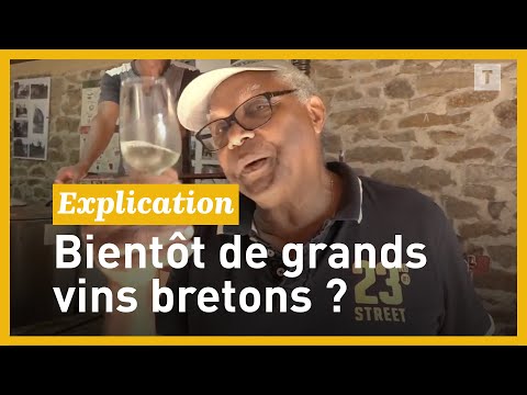 Why Brittany could well become a wine-growing land