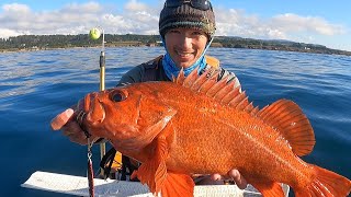 INSANE SIGHT FISHING for my new PB (HUGE!!!)