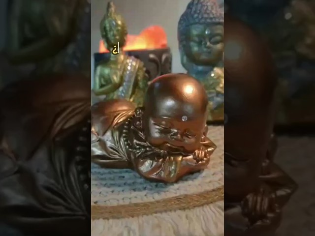 Vídeo relacionado con Desconocido Madera de boj Natural Tallada a Mano Fengshui Animal del Zodiaco 8 Estatua Protectora de la deidad (Shakyamuni Tathagata Buddha)