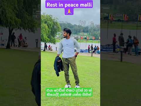 Adarei lassana lamayo💜 #sltiktok #slnews @tiktok_daily620 @slnewstoday @HiruNewsOfficial #sad