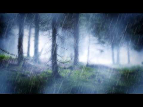 RAIN IN THE WOODS SLEEP SOUNDS | Nature's White Noise For Relaxation, Studying or Sleep | 10 Hours Video