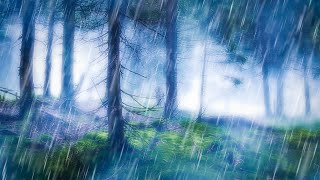 RAIN IN THE WOODS SLEEP SOUNDS | Nature's White Noise For Relaxation, Studying or Sleep | 10 Hours