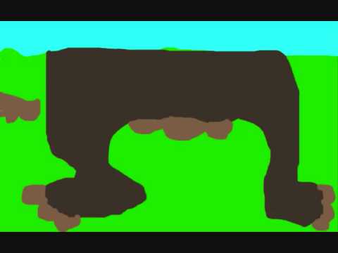 Animacja- Małpa Boby odc. 1 (Magia)