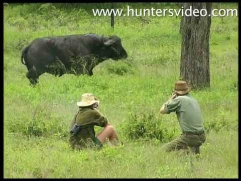 Buffalo Hunt - Hunter's Video