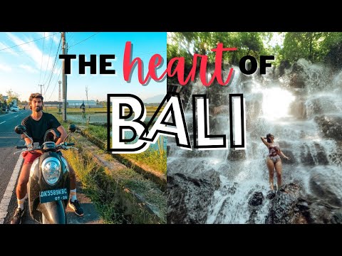 The BEST of Bali is in UBUD | Exploring Waterfalls & Rice Terraces: Things To Do In Ubud Bali 2022