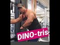 Building dinosaur TRICEPS - a few pointers for arm growth