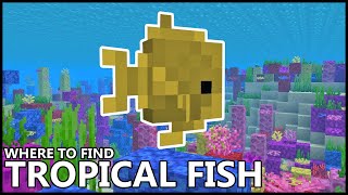 Where To Find TROPICAL FISH In MINECRAFT